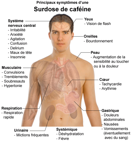Principaux_symptômes_d'une_surdose_de_caféine