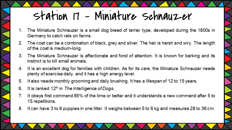Text-MiniatureSchnauzer