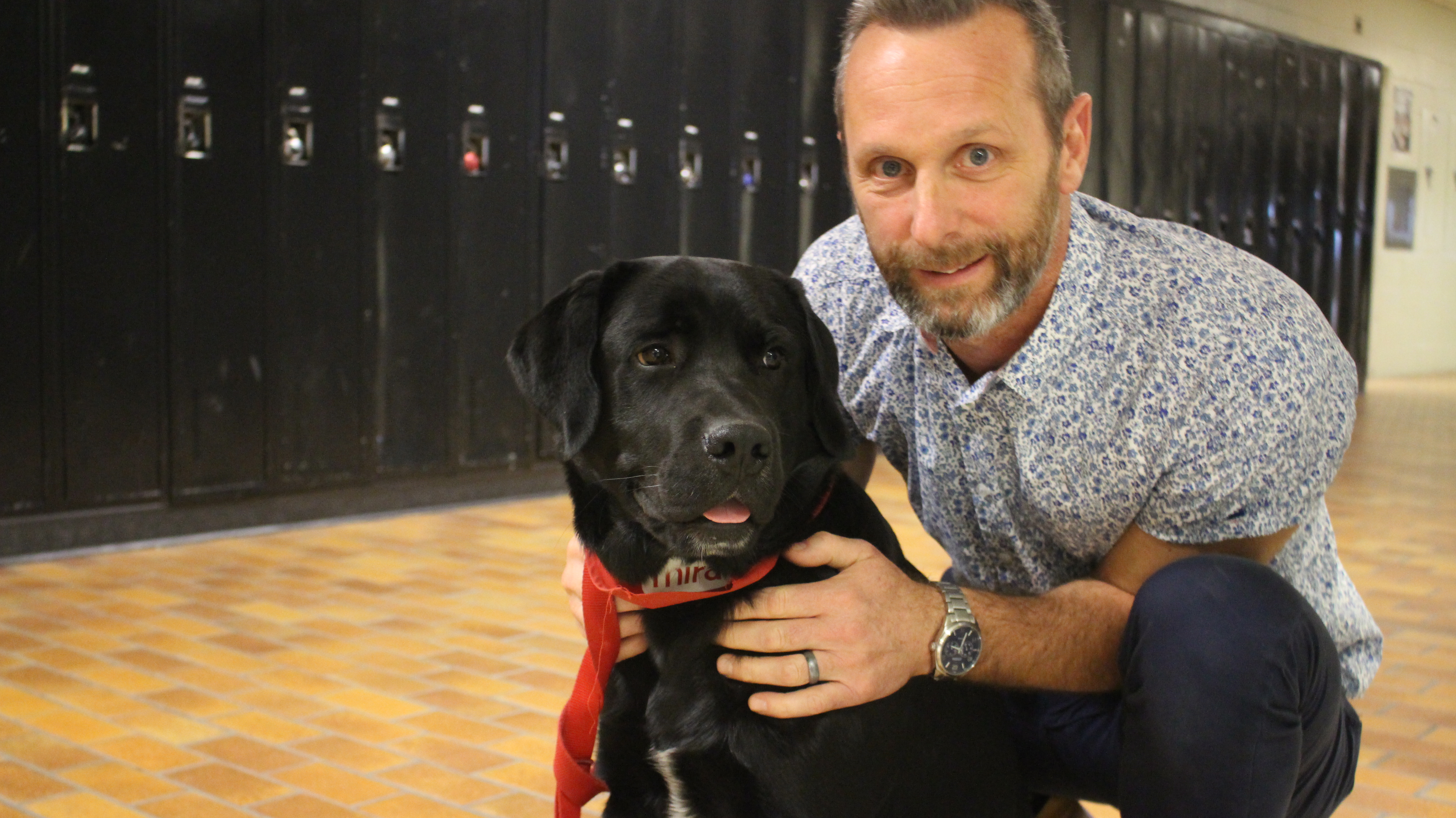Chien à lu0027école: un élève pas comme les autres u2013 Journal La Piqûre