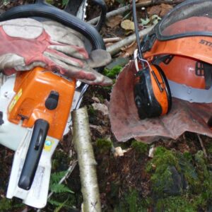 1433SAE25 - Abattage manuel et sécuritaire des arbres formation BILINGUE / CNESST / 8 et 9 novembre 2025 à Cowansville (180-1-14818-945)